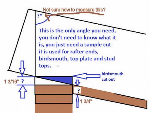 measurements  Copy