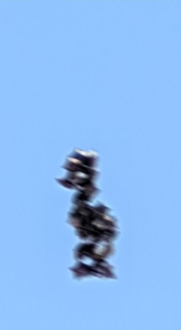 IMG 20260509 125129