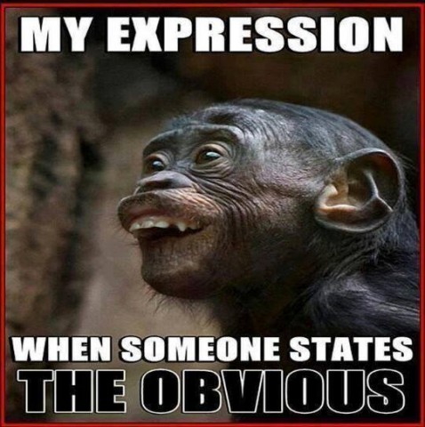 monkey duh