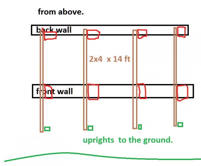 questions on scaffolding3